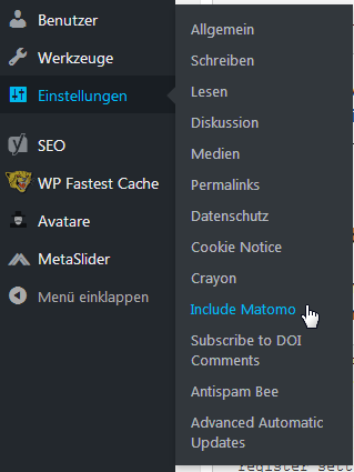Include Matomo Menüeintrag